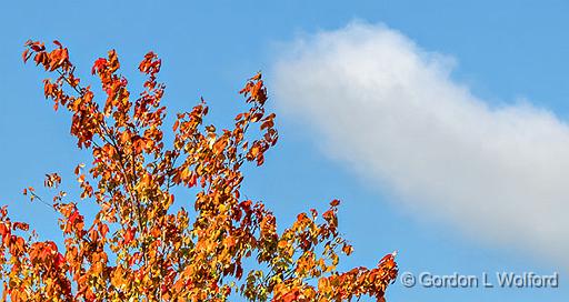 First Sign Of Autumn_DSCF4325.jpg - Photographed at Smiths Falls, Ontario, Canada.